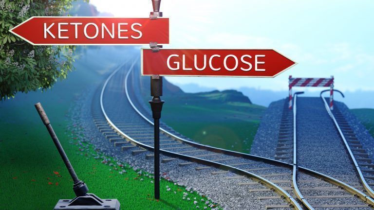 keto coach virtual ines viñas nutricionista psicologa curso online dieta keto cetogenica